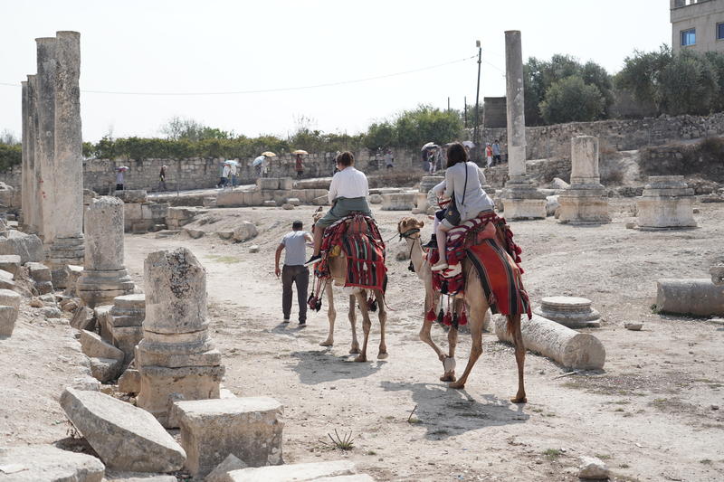 visitors on camels in ancient village of sebastia