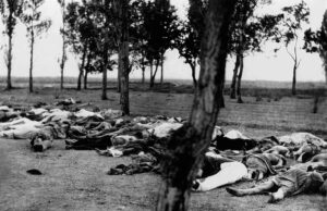 Bodies of Armenians murdered during the Armenian genocide lying outdoors among trees.